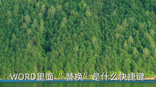 替換怎么操作,點(diǎn)擊全部替換替換需要的內(nèi)容