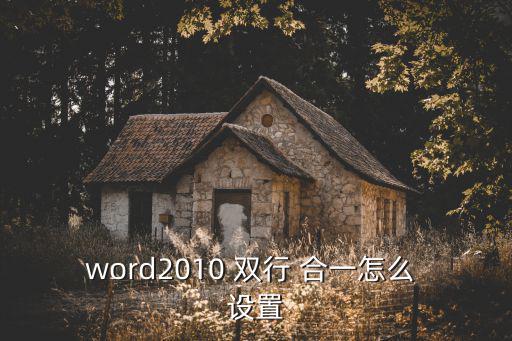 word2010 雙行 合一怎么 設置