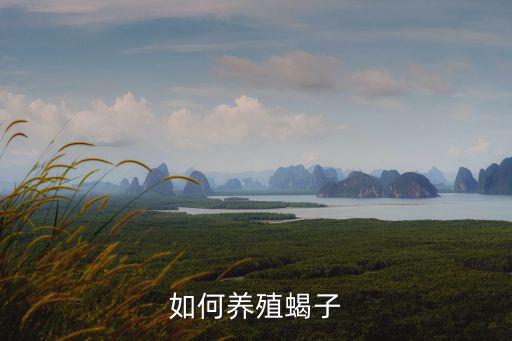 如何養(yǎng)殖蝎子