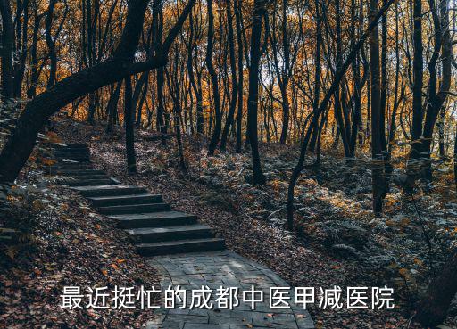 最近挺忙的成都中醫甲減醫院