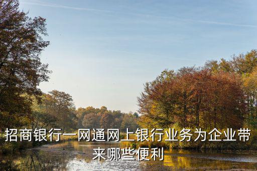 招商銀行一網(wǎng)通網(wǎng)上銀行業(yè)務(wù)為企業(yè)帶來哪些便利