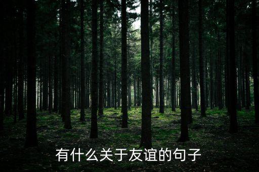 關于友誼的句子，關于友誼的經典話語