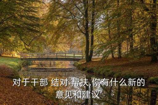 對于干部 結對 幫扶,你有什么新的意見和建議’