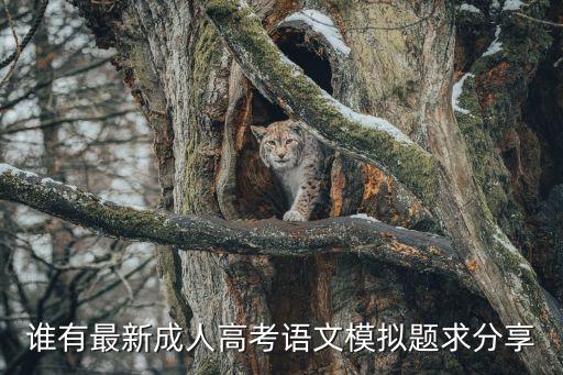 誰有最新成人高考語文模擬題求分享
