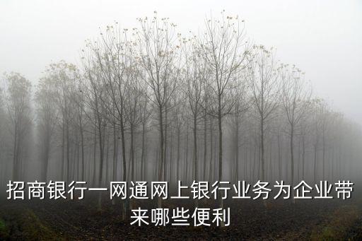 上海企業開辦一網通，在上海市企業服務云一窗通辦理業務方便嗎