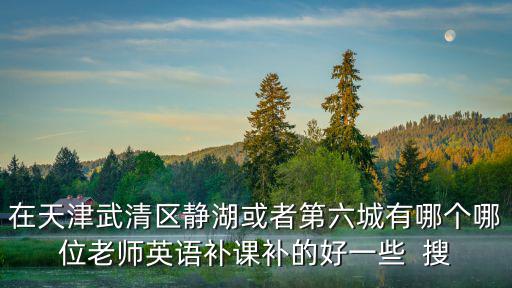 在天津武清區靜湖或者第六城有哪個哪位老師英語補課補的好一些  搜