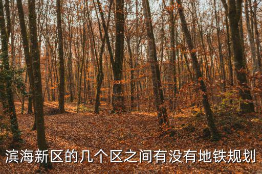 濱海新區的幾個區之間有沒有地鐵規劃