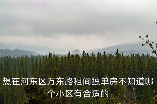 想在河東區萬東路租間獨單房不知道哪個小區有合適的