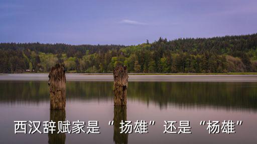 西漢辭賦家是“ 揚(yáng)雄”還是“楊雄”