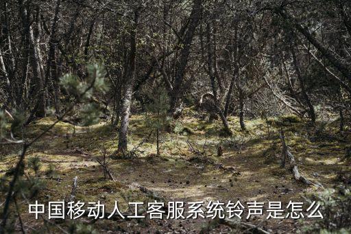 人工客服系統，微信人工客服功能如何開啟