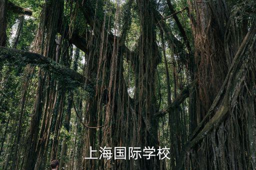 上海國際學(xué)校