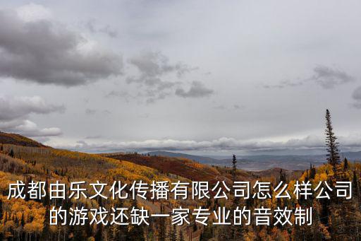 成都由樂文化傳播有限公司怎么樣公司的游戲還缺一家專業的音效制