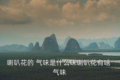 喇叭花的 氣味是什么味喇叭花有啥 氣味