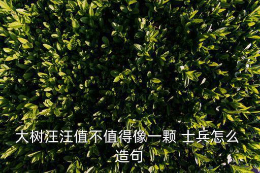 士兵造句,這些軍隊(duì)是怎么一回事?