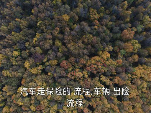  汽車走保險的 流程,車輛 出險 流程