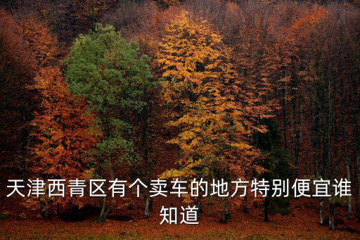 天津西青區有個賣車的地方特別便宜誰知道
