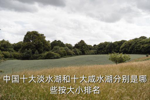 中國十大淡水湖和十大咸水湖分別是哪些按大小排名