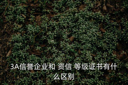 3A信譽(yù)企業(yè)和 資信 等級證書有什么區(qū)別