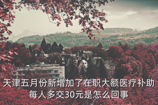 天津五月份新增加了在職大額醫療補助每人多交30元是怎么回事