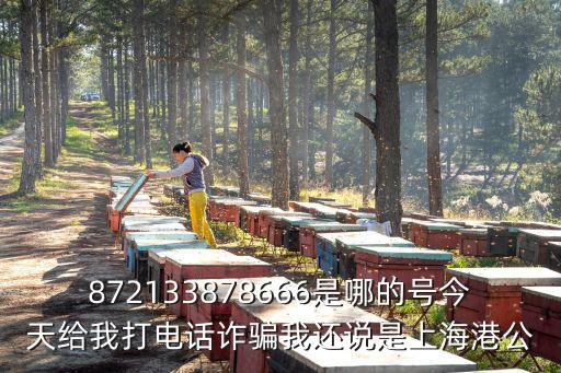 872133878666是哪的號(hào)今天給我打電話詐騙我還說(shuō)是上海港公