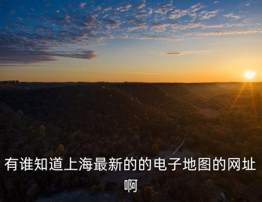有誰知道上海最新的的電子地圖的網址啊
