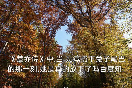 元淳公主,命運輪轉(zhuǎn):西魏公主元淳的愛情故事