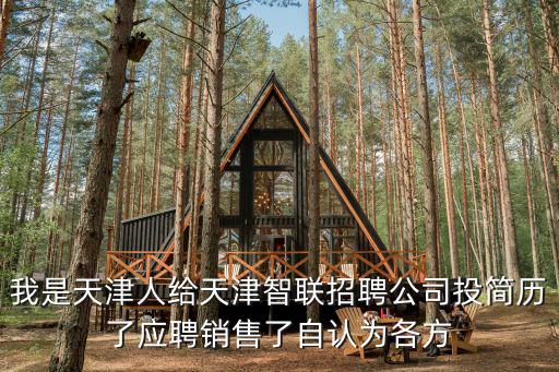我是天津人給天津智聯招聘公司投簡歷了應聘銷售了自認為各方