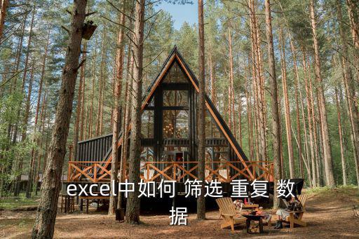  excel中如何 篩選 重復 數據