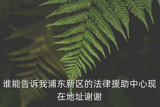 誰能告訴我浦東新區(qū)的法律援助中心現(xiàn)在地址謝謝