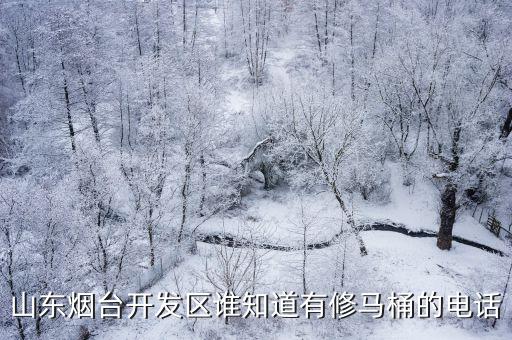 山東煙臺開發區誰知道有修馬桶的電話