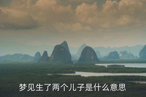 夢見生了兩個兒子是什么意思