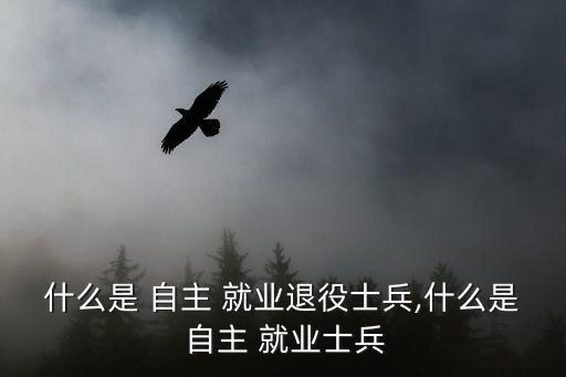 什么是 自主 就業退役士兵,什么是 自主 就業士兵