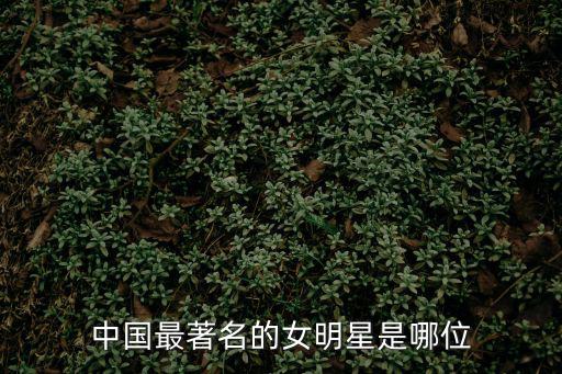 大陸女星,第一個中國女演員獲得威尼斯電影節最美人物獎