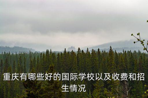 重慶有哪些好的國際學校以及收費和招生情況