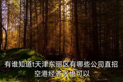 有誰知道t天津東麗區有哪些公司直招 空港經濟區也可以