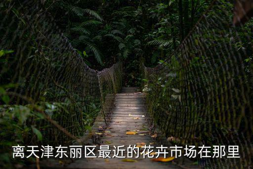 天津市東麗區大型花卉市場，天津東麗區哪里有花鳥市場