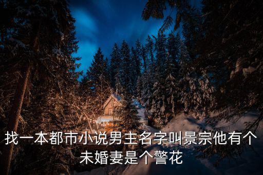 找一本都市小說男主名字叫景宗他有個未婚妻是個警花