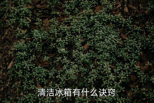 清理冰箱，怎樣清理冰箱