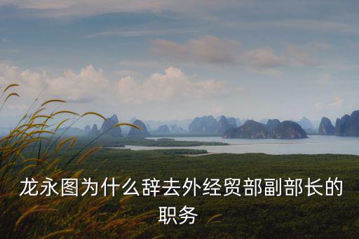  龍永圖為什么辭去外經貿部副部長的職務