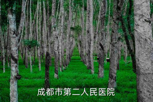 成都市第二人民醫(yī)院