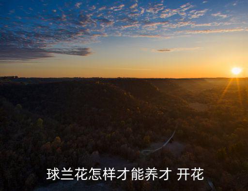 球蘭什么時候開花,春秋兩季宜放窗戶陽臺上或室內南窗附近養(yǎng)花