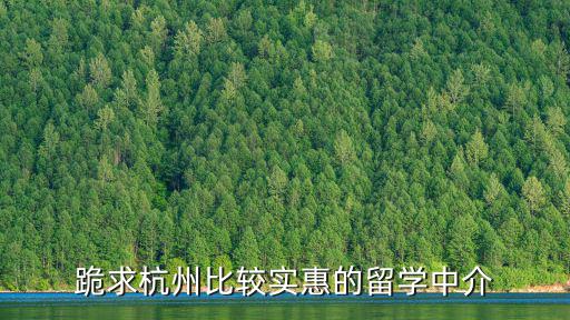 跪求杭州比較實惠的留學中介
