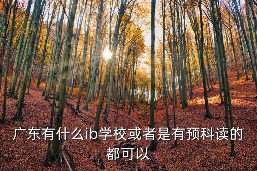 句容ib國(guó)際學(xué)校，廣東有什么ib學(xué)校或者是有預(yù)科讀的都可以