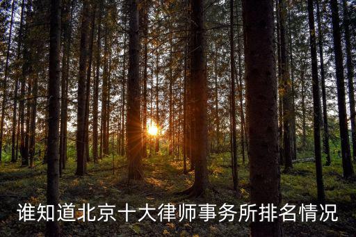 誰知道北京十大律師事務(wù)所排名情況