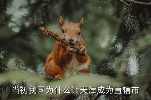 民國時期的天津市政府圖片，當初我國為什么讓天津成為直轄市