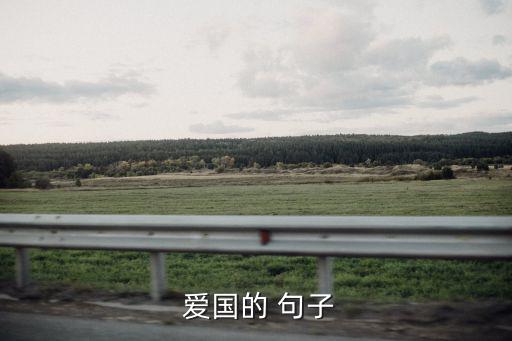  愛國的 句子