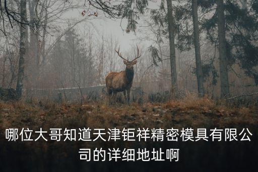 哪位大哥知道天津鉅祥精密模具有限公司的詳細(xì)地址啊