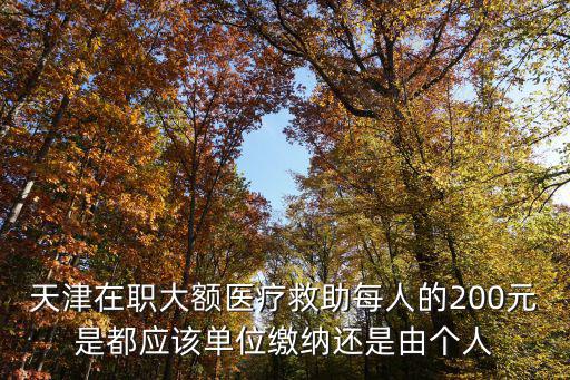 天津在職大額醫療救助每人的200元是都應該單位繳納還是由個人