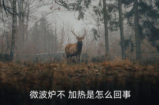  微波爐不 加熱是怎么回事