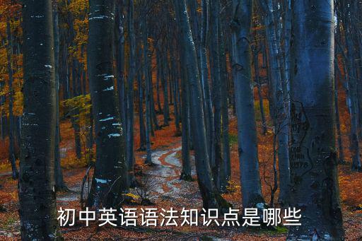 初中英語語法基礎知識大全，初中英語語法大全